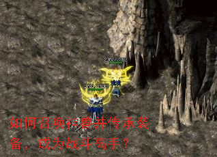 ����ٻ����޲�����װ������Ϊս�����֣�