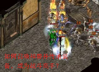 ����ٻ����޲�����װ������Ϊս�����֣�