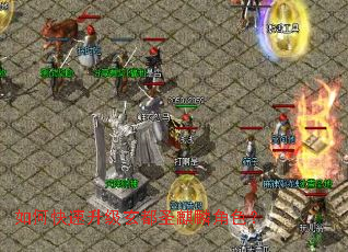 ��ο�����������ʥ�����ɫ��