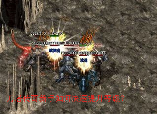 ��������������ο��������ȼ���