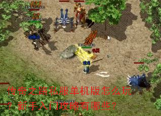 ����֮·˽����������ô�棿�������Ź�������Щ��