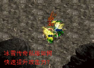 ��ѩ����˽����ο���������������