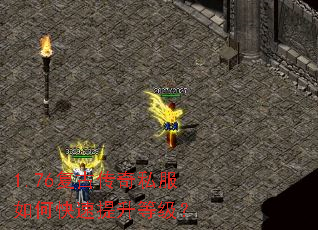 1.76���Ŵ���˽����ο��������ȼ���