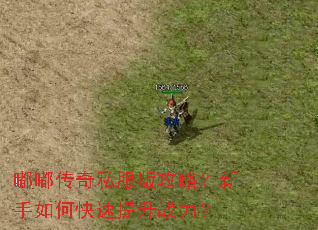 �ུ���˽���湥�ԣ�������ο�������ս����