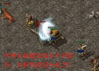 ����˽������汾�����¿�����ο�������ս����