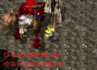 CF˽���羺���湥�������ѡ�������ǣ�