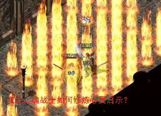 ħ��֮��սʿ�������������ʾ��