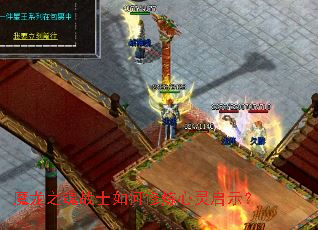 ħ��֮��սʿ�������������ʾ��