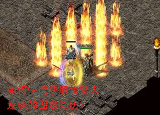 ��ο��ٻ�ȡ���������Ĺ̶�������