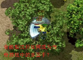 ȫ���ͷ�ʦ��γ�Ϊ������Ϸ�еĶ����֣�