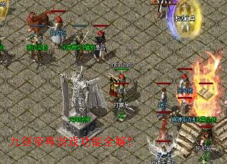 �Ž�������Ϸ����ȫ�⣿