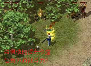 ��ο������������ɽ�ɫ��ս������