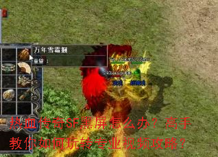 ��Ѫ����SF������ô�죿���ֽ��������תרҵ��Ƶ���ԣ�