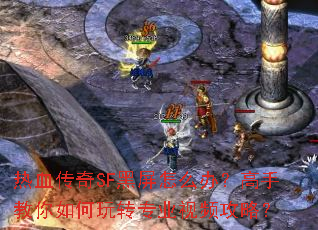 ��Ѫ����SF������ô�죿���ֽ��������תרҵ��Ƶ���ԣ�