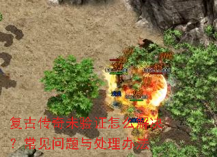 ���Ŵ���δ��֤��ô��������������봦���취