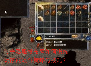 ����˽����������ζ�����ҵ�ս�������뼼�ɣ�