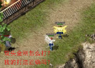 ˫ͷ�����ô���ҵĴ���ȷ��