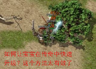 ����ñ����ڴ����п����������������̫��Ч��