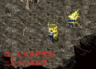 ��ʿְҵ���ʵ����ְҵ���ⷢչ��