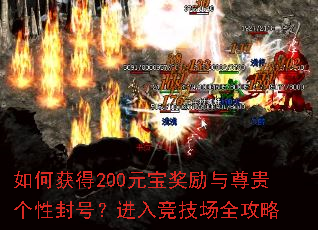 ��λ��200Ԫ�������������Է�ţ����뾺����ȫ����