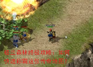 ����ɭ���ռ����ԣ���ο��ٳư����Ŵ����ͼ��