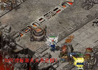 如何理解屠夫义务进程? 如何理解屠夫义务进程?