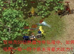 ˫���50����Ѫ����˽���У���δ���һҫһ�����ܷ������ս����