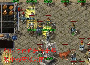 ��ο���׷�ϴ�����Ϸ�еĸ߼���ң�