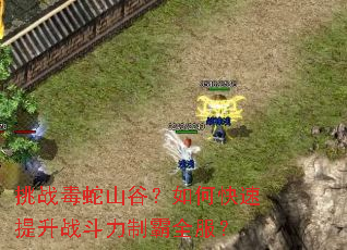 挑战毒蛇山谷?如何快速提升战斗力制霸全服? 挑战毒蛇山谷?如何快速提升战斗力制霸全服?