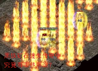 ����������ʧ�����о�������Щ��;��