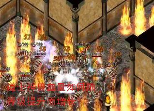 ��ʿ����Ѫ�������ȼ�������������