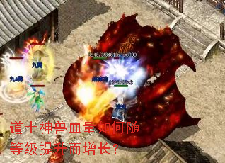 ��ʿ����Ѫ�������ȼ�������������