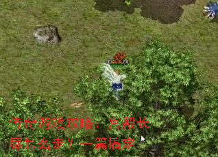 ������Ϸ���ԣ��������ô�ߣ�һƪ�㶨