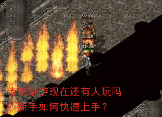 ����������ڻ���������������ο������֣�