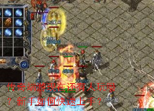 ����������ڻ���������������ο������֣�