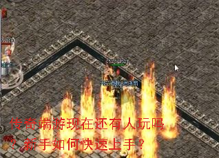 ����������ڻ���������������ο������֣�