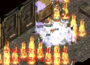 ����������ڻ���������������ο������֣�