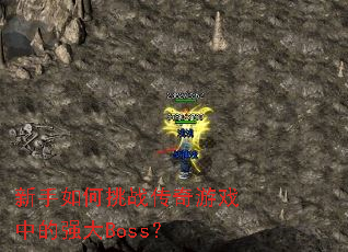 ���������ս������Ϸ�е�ǿ��Boss��