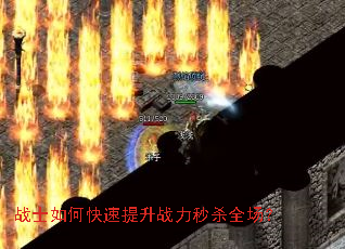 սʿ��ο�������ս����ɱȫ����