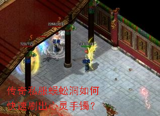 ����˽����򼶴��ο���ˢ������������