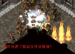 ��ο�������Ѫ����˵΢�ˣ�