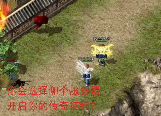 ���ѡ���ĸ�������������Ĵ������̣�