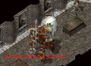 ��θ�Ч���þ��������������