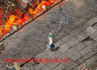 ��θ�Ч���þ��������������