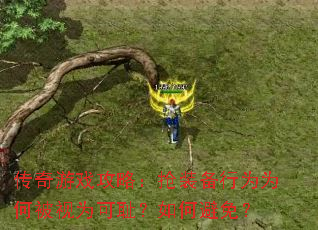 ������Ϸ���ԣ���װ����ΪΪ�α���Ϊ�ɳܣ���α��⣿