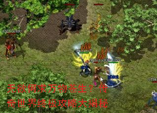 ��������������������������ռ����Դ����