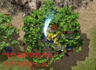 ������ο���������������Ч��װ����