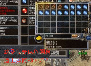 ��ʥ�������㷭����ʿ�����ع飿