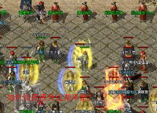 ��ο�����������������