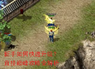 ������ο���������ֱ���۷幥��ȫ����